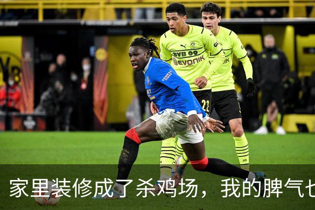 家里装修成了杀鸡场，我的脾气也快杀鸡了！